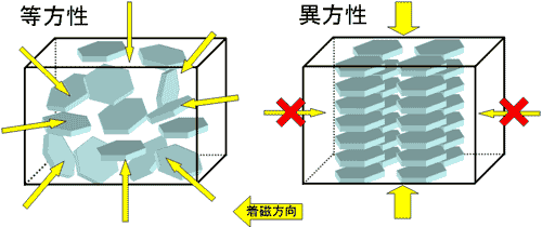 異方性フィルタリング